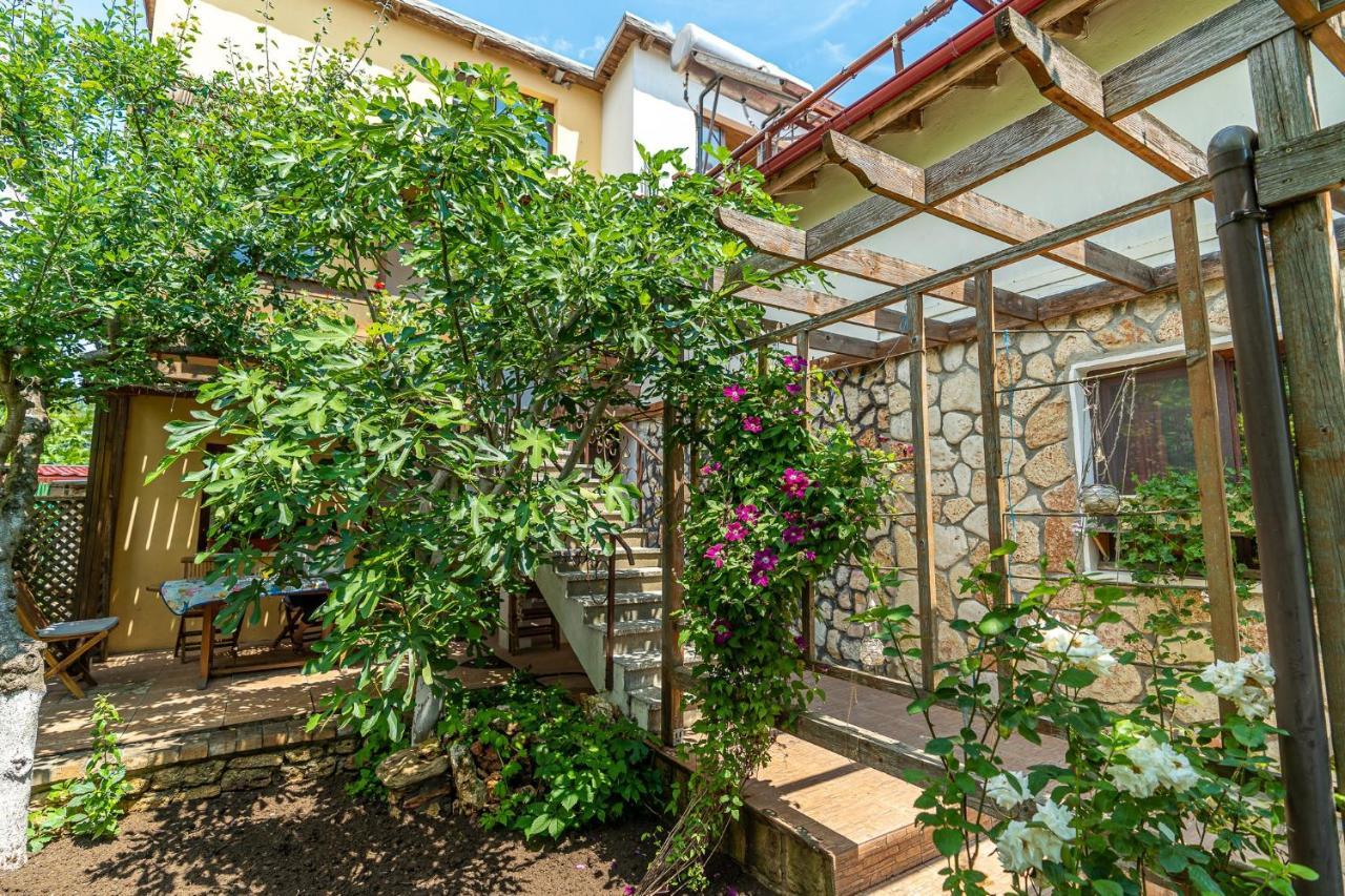 Готель Casa Nikita Вама-Веке Екстер'єр фото